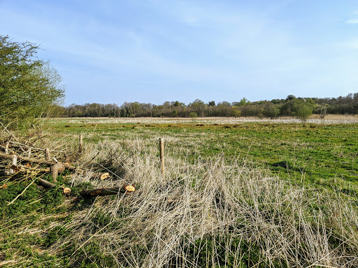 NWT Rushmeadows - Visual