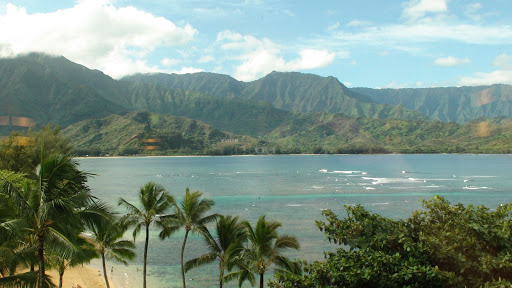 Aloha Babysit