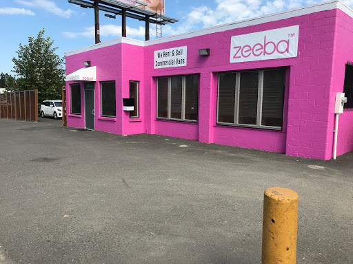 Zeeba Vans - Visual