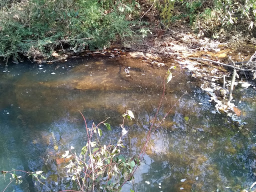 Lucille Creek Trail parking - Thumbnail
