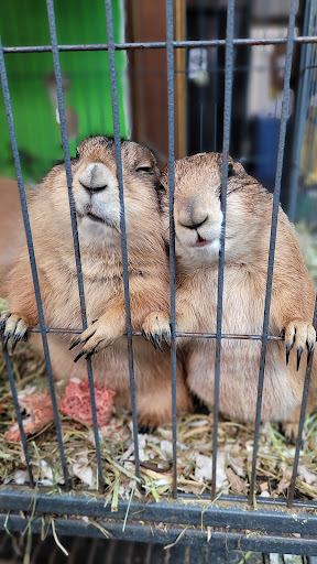 Jayden's Jungle Exotic Pet Store Gallery - United States