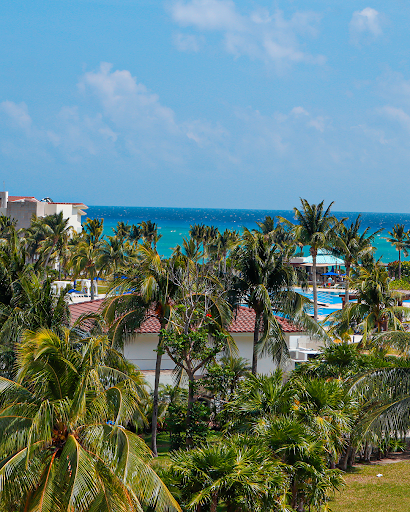 Bluetide Real Estate