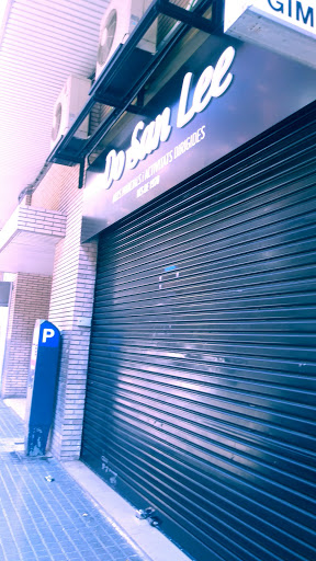 Do San Lee - Visual