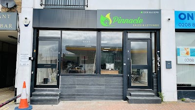 Pinnacle Estate (S&L) Ltd
