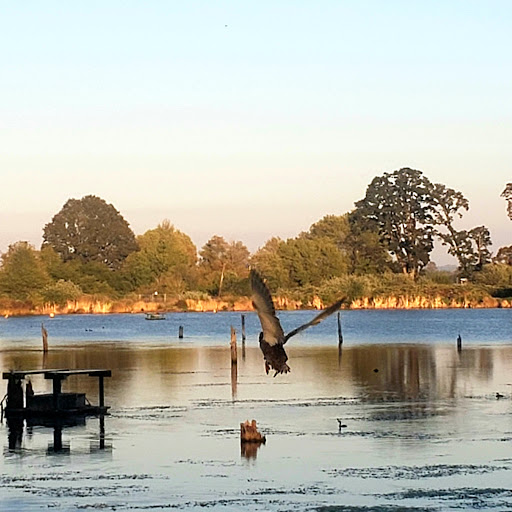 Hampton Park - Visual