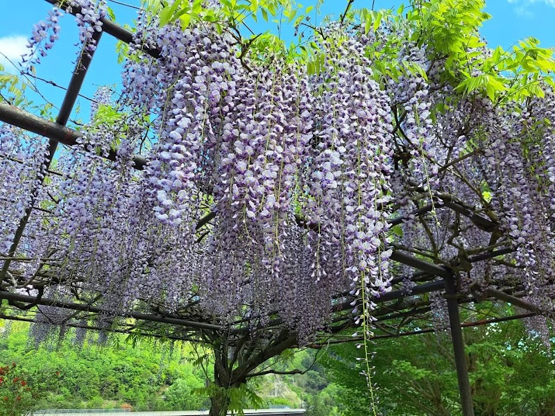 播州平福しゃくなげの里