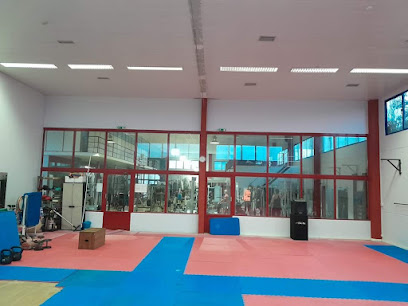 Chakra Gym