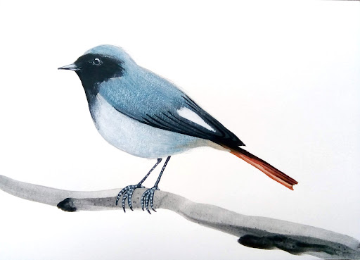 Birds-Blooms - Thumbnail