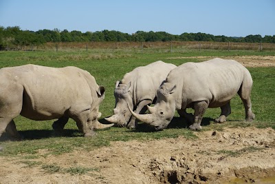 The Wilds Columbus Zoo