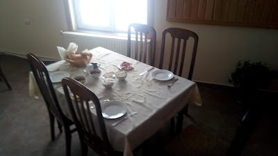 Photos of Shamo
