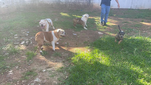 Veterinaria Blues Pet Home Av. México