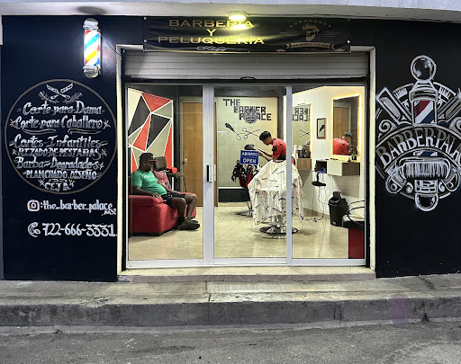 The Barber Palace Mx