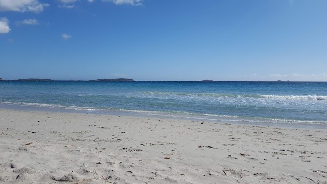 Playa baggia