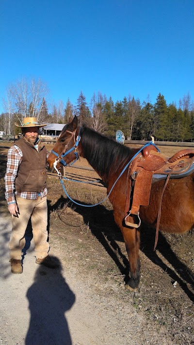 Mountain Horse Adventures