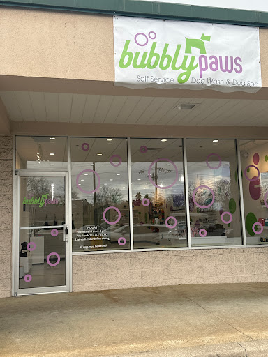 BubblyPaws - Visual
