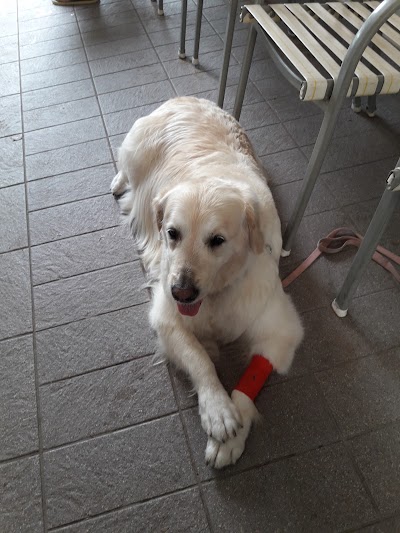 Photos of Ambulatorio Veterinario Dott. Silighini Christian