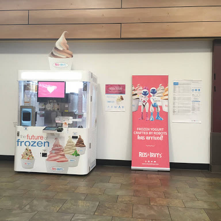 Reis & Irvy's – The Future of Frozen Yogurt!