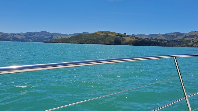 Akaroa Dolphins Open Times