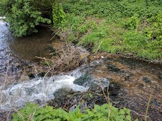 Byron’s Pool LNR cambridge