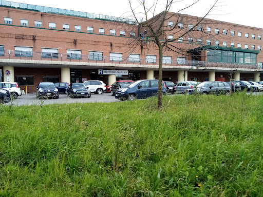 Hospital St. Scholastica