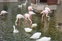 Doha Zoo, Doha, Qatar