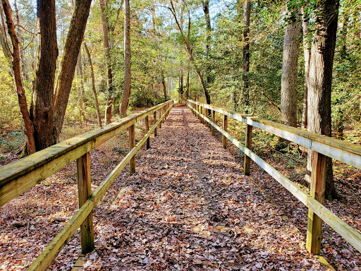 Redden State Forest - Visual