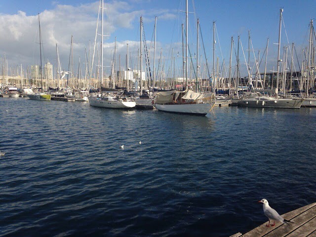 La Barceloneta