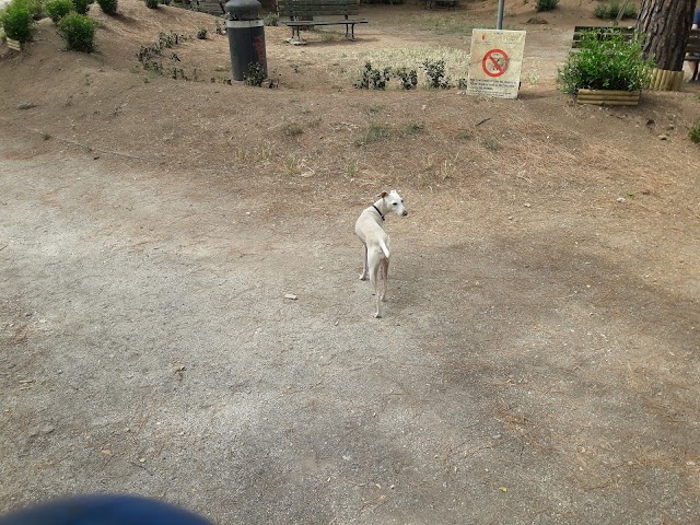 Parco Lucio Mario Perpetuo