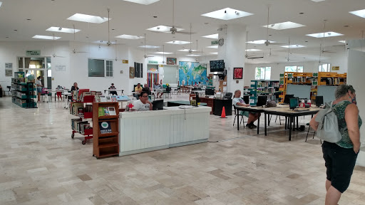 Biblioteca Los Mangos - Thumbnail