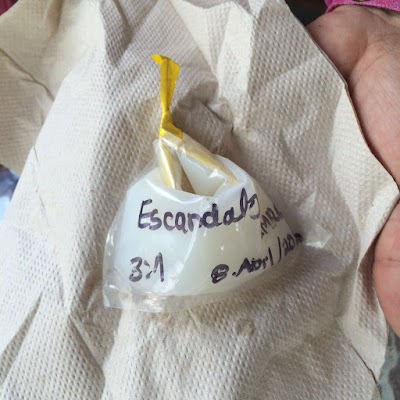 Photos of Agropecuaria El Cedral