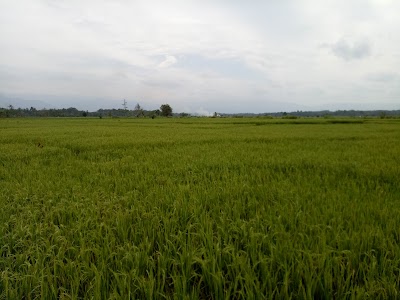Photos of Indomaret Tanjung Aur