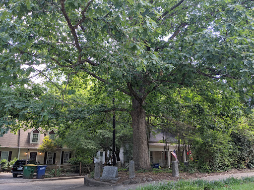 Tree That Owns Itself
