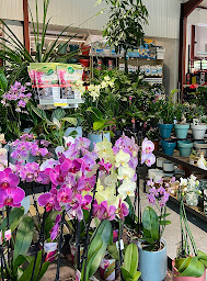 Photo n°9 de GAMM VERT à Saint-Jean-en-Royans (Magasin d'articles pour animaux)