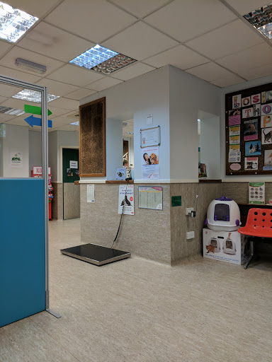 Medivet Reading - Visual