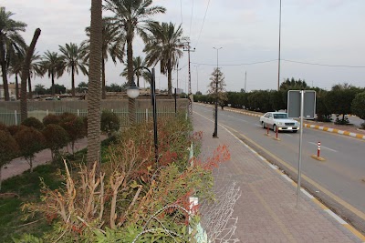 Photos of Palm Family Park