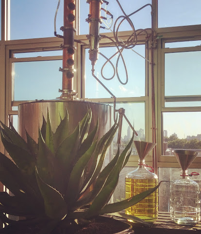 Standard Wormwood Distillery by null