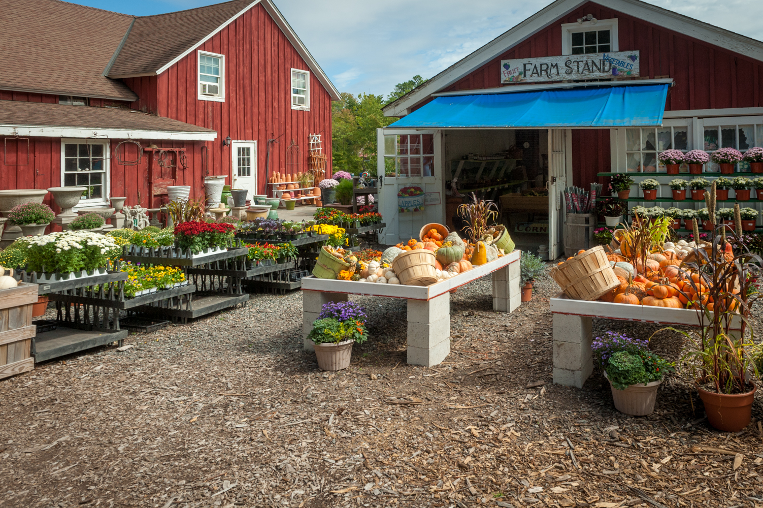 Eden Farms