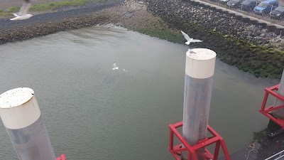 Photos of Veerdienst Den Helder-Texel