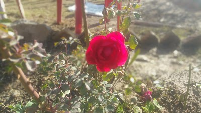 Photos of Big Elnjagh - إلنجاغ كبير