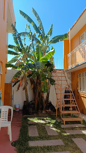 LOS NARDOS HOSTEL -PET FRIENDLY- Logo
