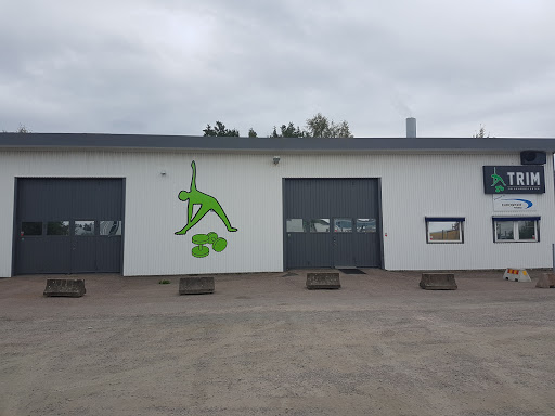Trim Torsvik - Visual