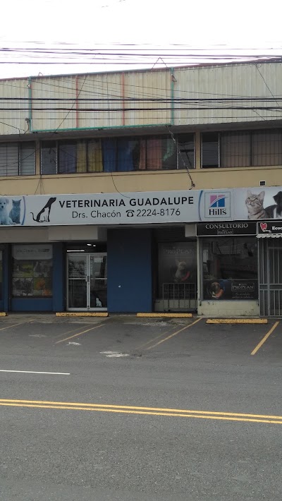 Photos of Emergencias 24 horas Veterinaria Guadalupe 24 horas, Drs. Chac&oacute;n