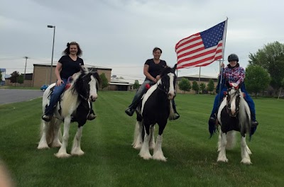 Serenity Farm Gypsy Horses