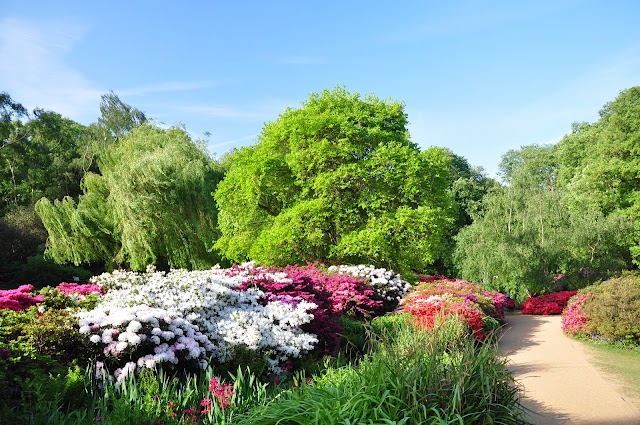 Isabella Plantation