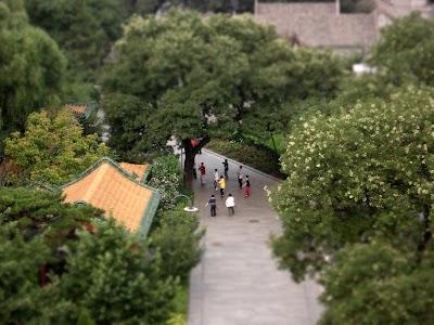 Photos of Grand Hotel Beijing
