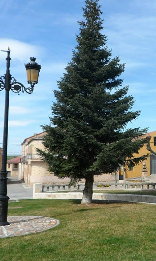 Plaza Mayor de Torreiglesias - Thumbnail