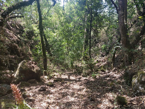 Cuevas de la Huachisca - Thumbnail