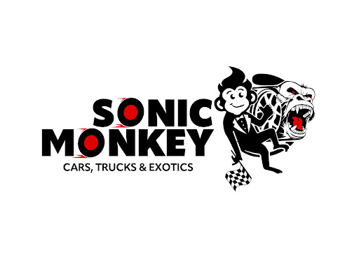 Sonic Monkey Motors - Visual