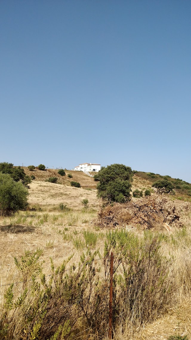 La Conca d'Oro