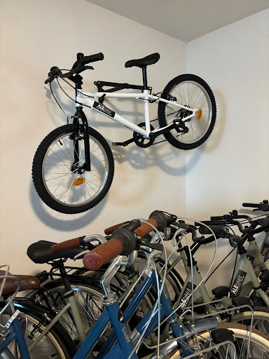 ALEbike - Visual